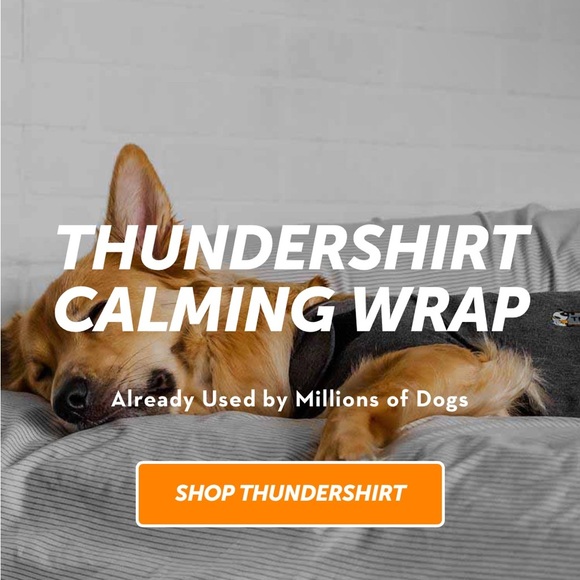 ThunderShirt Dogs Vest XL Calming Fireworks Travel Separation Anxiety NWOT - Picture 3 of 16